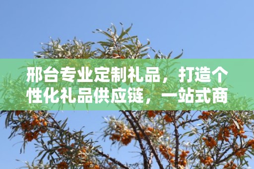 邢台专业定制礼品，打造个性化礼品供应链，一站式商务推广服务